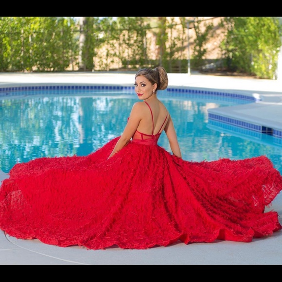 Haute Couture Designer Dress - Picture 2 of 3